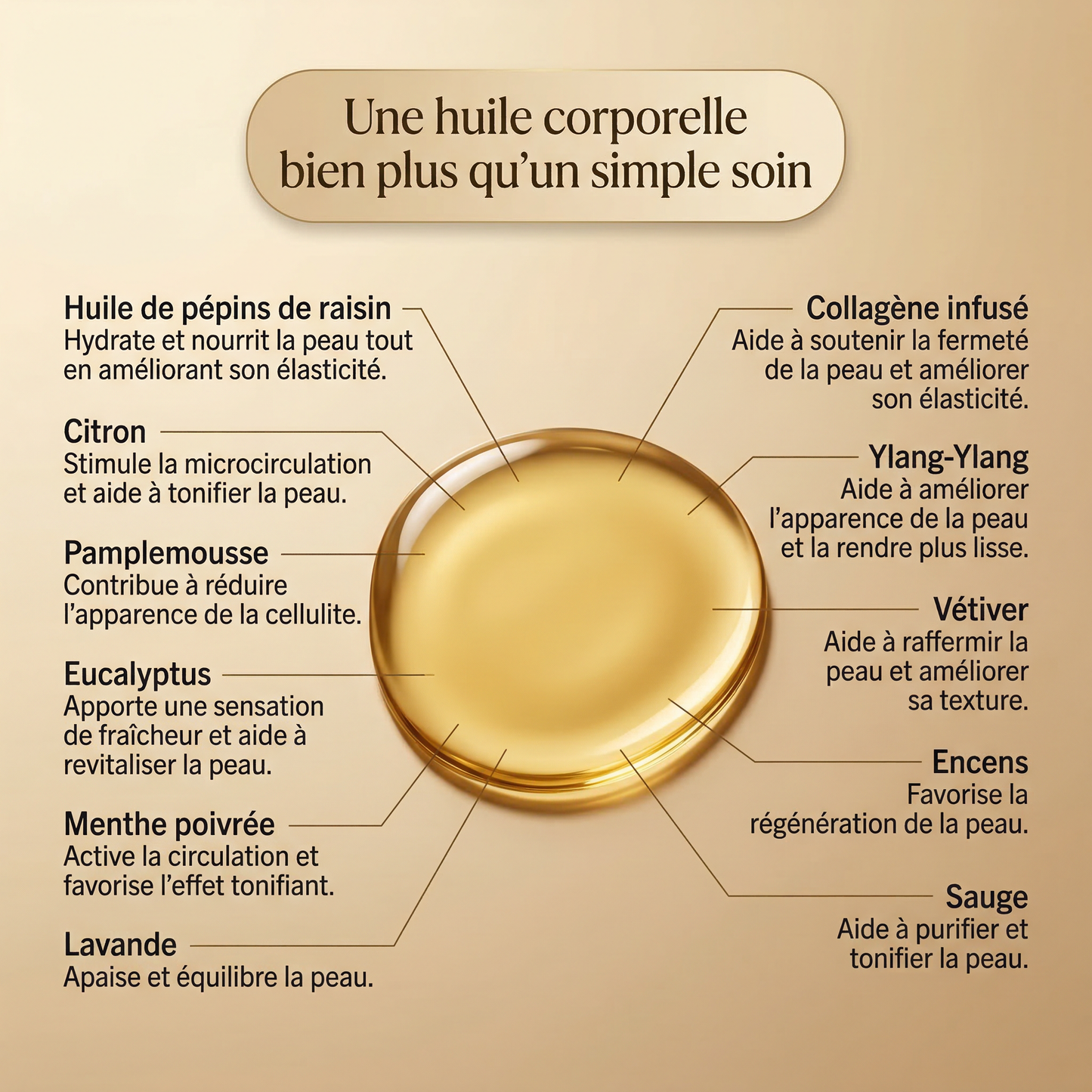 Huile Anti-Cellulite Raffermissante 240ml | 12 Actifs | RENYVE